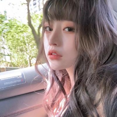 装甲前线果盘版下载